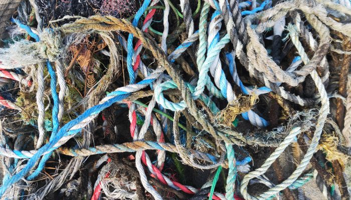 20190513_HuonClean-up_AF_Rope