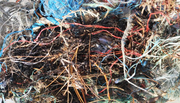 20190513_HuonClean-up_AF_fine rope